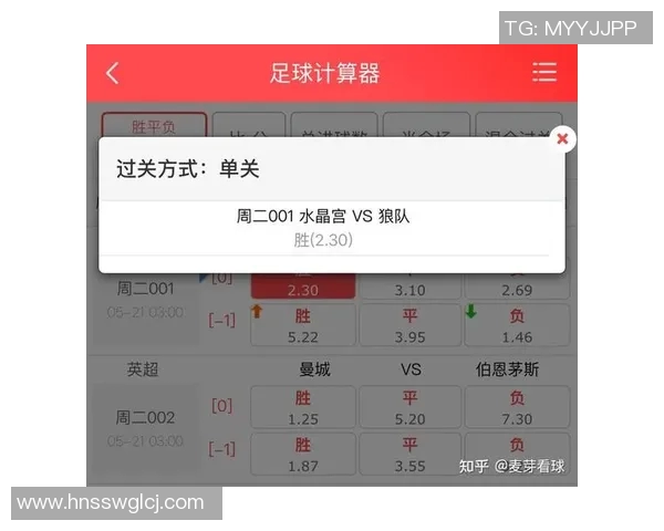 计算器足球胜平负分析助你精准预测比赛结果提升投注成功率